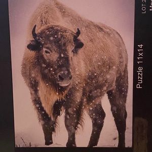 White winter Buffalo puzzle